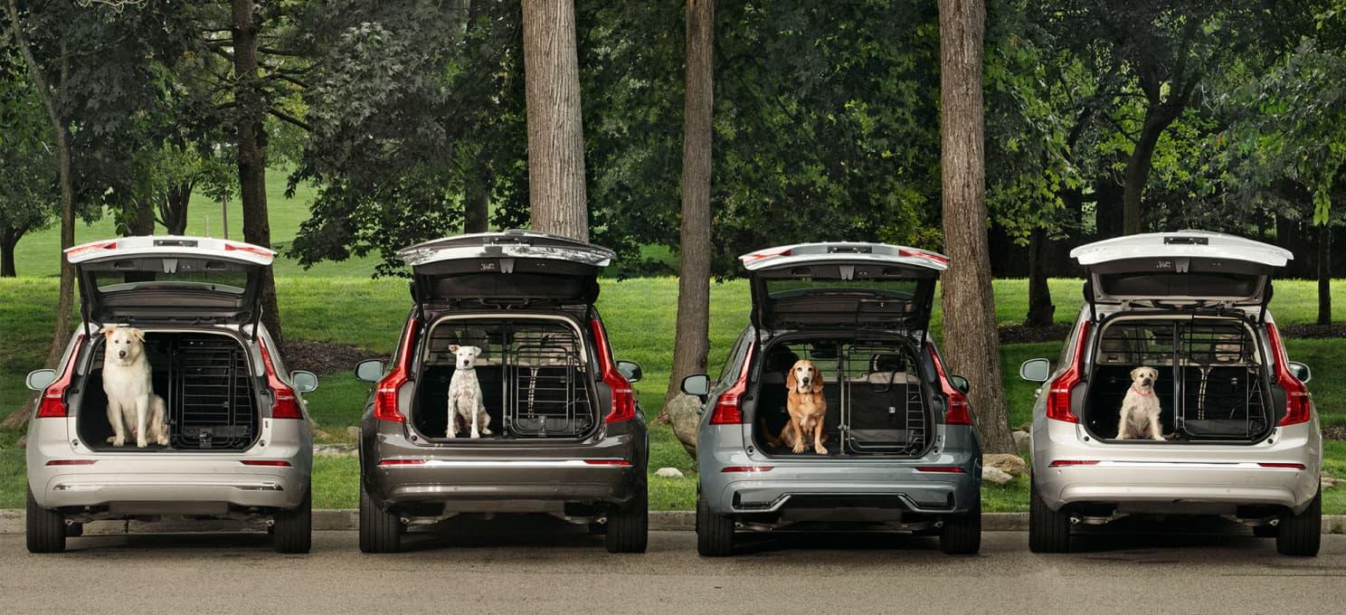 Four SUVs with open trunks, each containing a dog inside a crate. The SUVs are parked side by side on a road with grass and trees in the background, showcasing the Volvo AR website by ArcTouch.