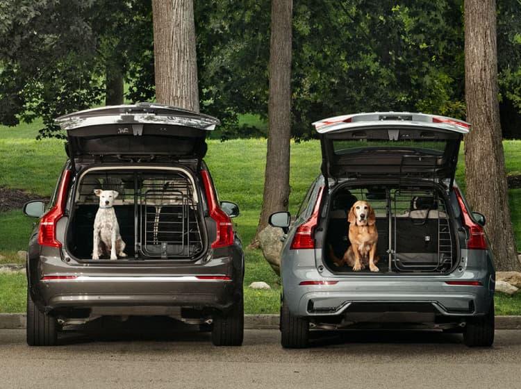 Four SUVs with open trunks, each containing a dog inside a crate. The SUVs are parked side by side on a road with grass and trees in the background, showcasing the Volvo AR website by ArcTouch.