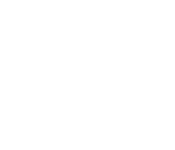 GUESS logo in white
