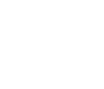 Hawaiian Airlines logo in white