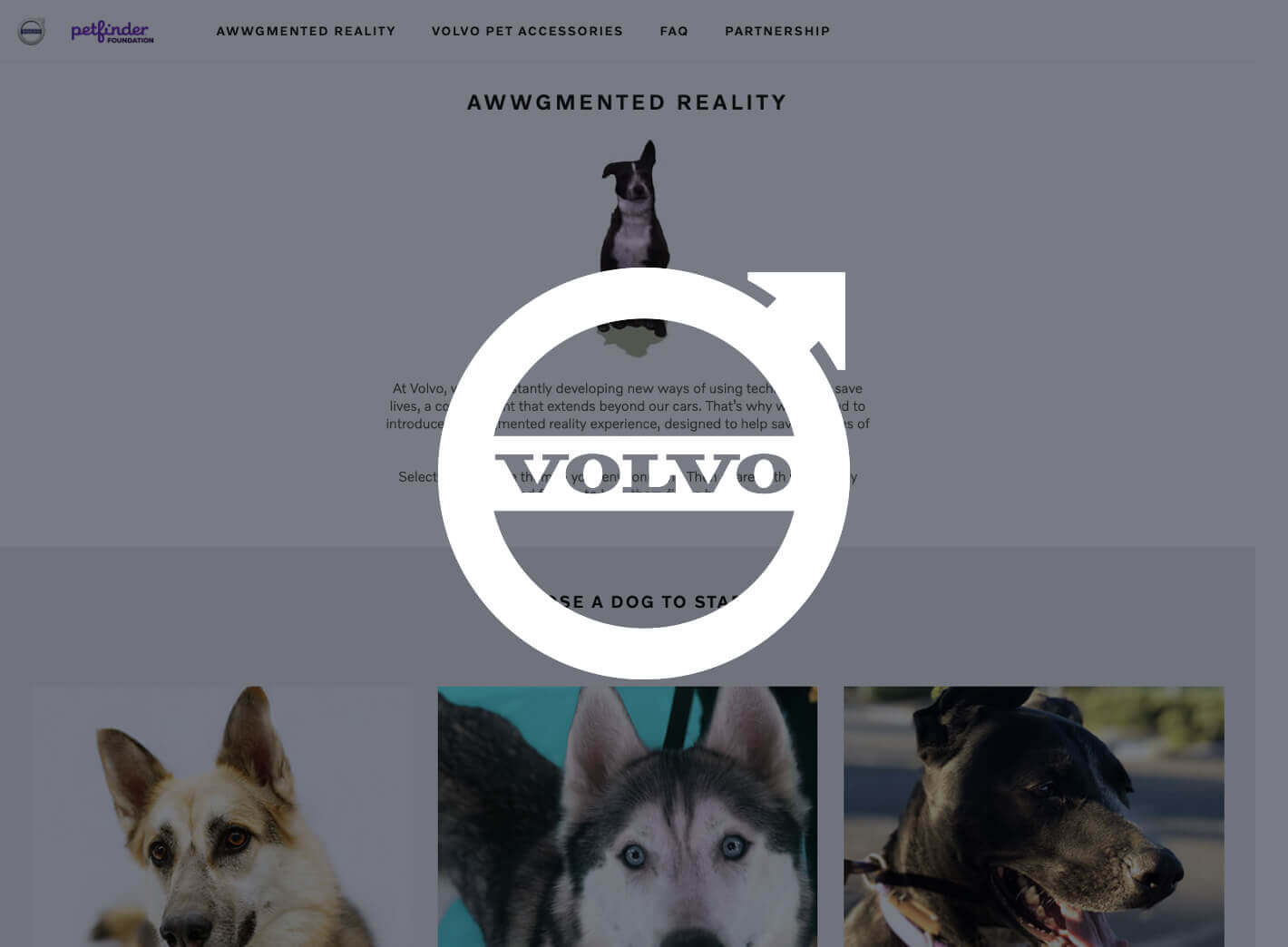 White Volvo logo over pictures of dogs