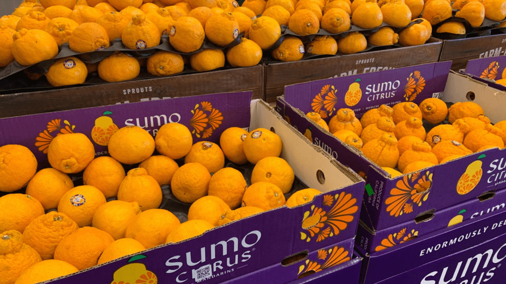 stacked boxes of lovable Sumo oranges