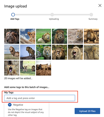 Tag images of lions in the Azure Custom Vision model