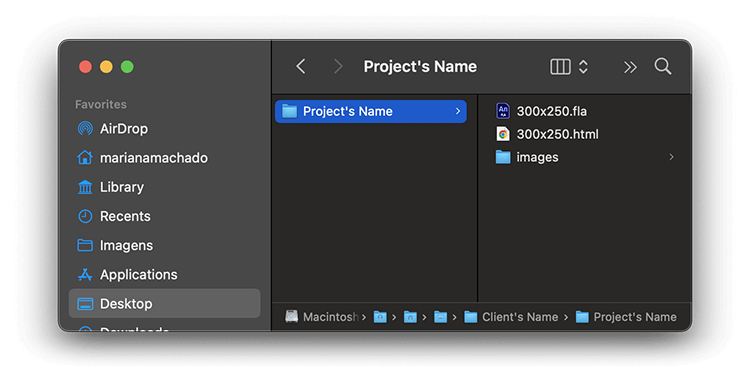 Adobe Animate exports project files to separate folders